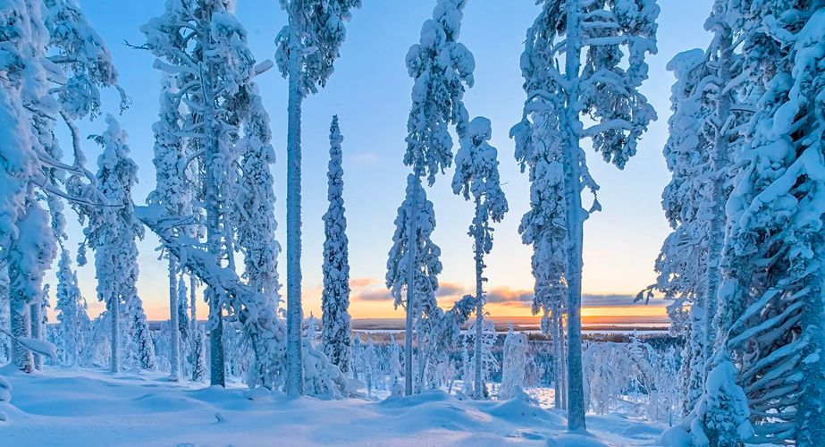 Excursie sneeuwschoenwandelen Riisitunturi National Park